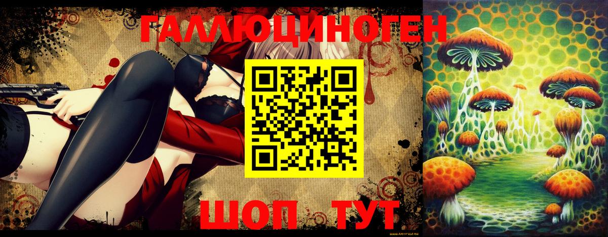 Энгельс  Псилоцибиновые грибы Psilocybine cubensis  Вход с VPN 